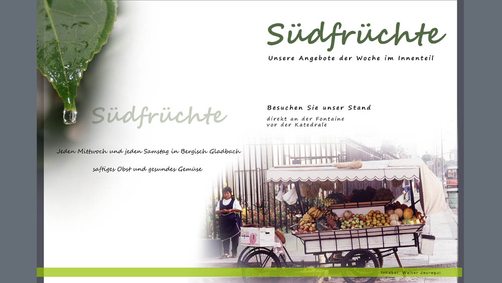 02 flyer suedfruechte